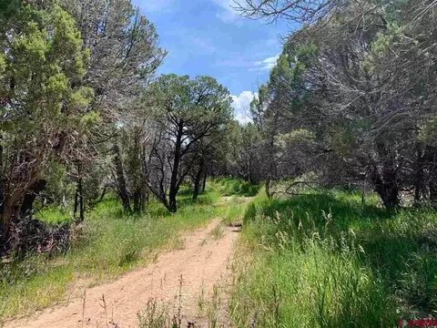 678 3375 Rd, Crawford, CO 81415 photo 9
