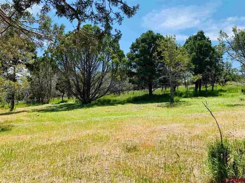 678 3375 Rd, Crawford, CO 81415 photo 8