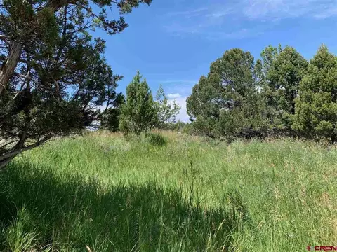 678 3375 Rd, Crawford, CO 81415 photo 24