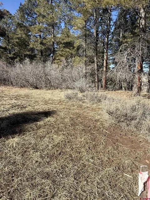 777 Monument Ave, Pagosa Springs, CO 81147