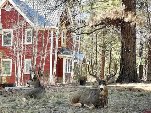 308 Silver Queen S #105B, Durango, CO 81301