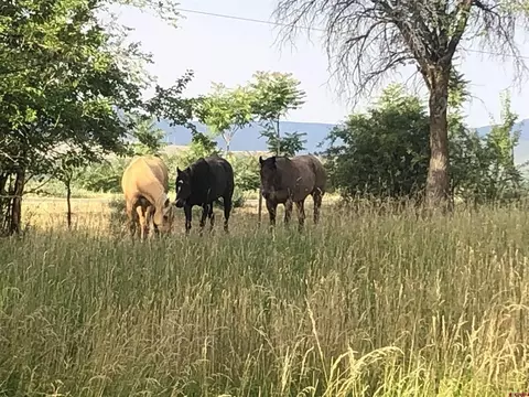 27701 Bb Rd, Nucla, CO 81424