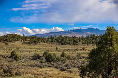 X Tall Pines Place, Pagosa Springs, CO 81147