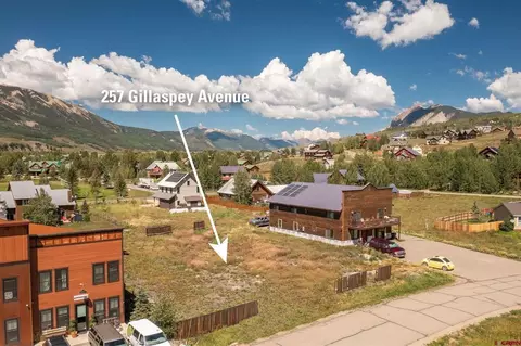 257 Gillaspey Ave, Crested Butte, CO 81224