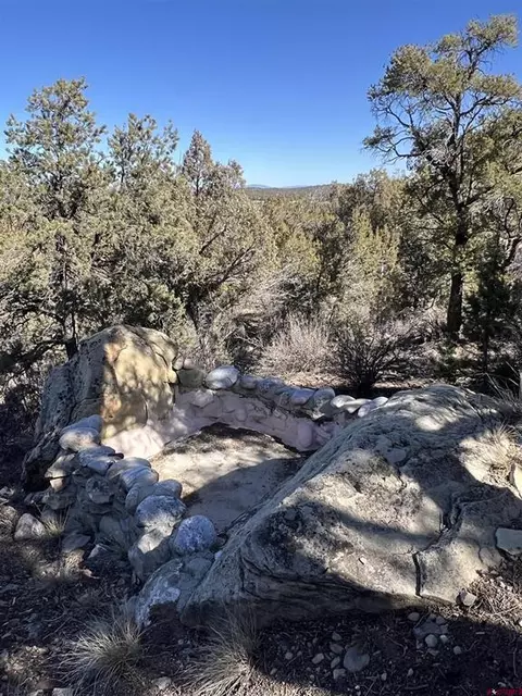 7371 County Road 310, Ignacio, CO 81137 photo 16