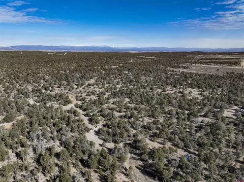 7371 County Road 310, Ignacio, CO 81137 photo 4