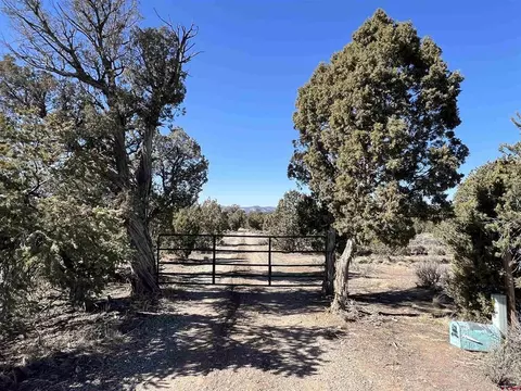 7371 County Road 310, Ignacio, CO 81137 photo 21