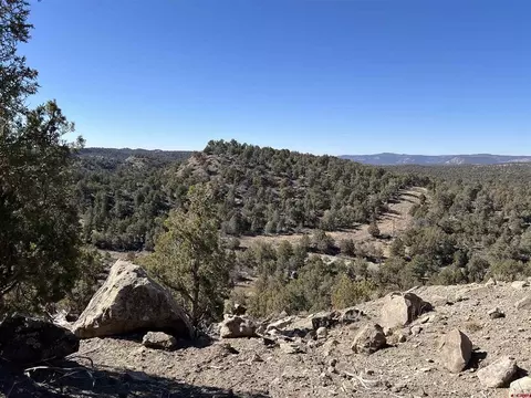 7371 County Road 310, Ignacio, CO 81137 photo 12