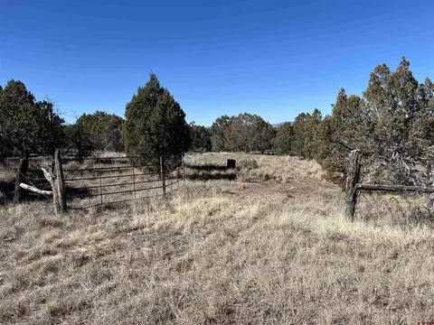 7371 County Road 310, Ignacio, CO 81137 photo 20