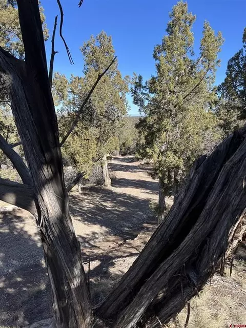 7371 County Road 310, Ignacio, CO 81137 photo 13