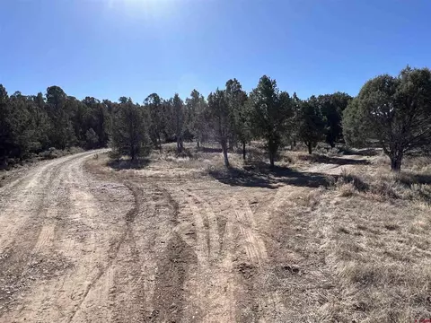 7371 County Road 310, Ignacio, CO 81137 photo 17