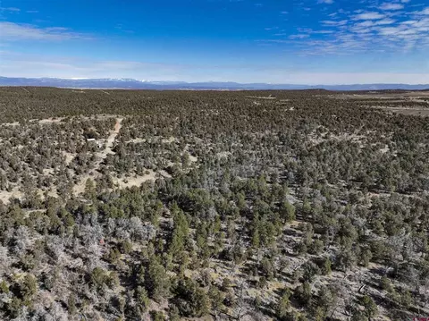 7371 County Road 310, Ignacio, CO 81137 photo 8