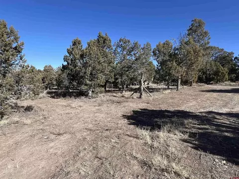 7371 County Road 310, Ignacio, CO 81137 photo 18