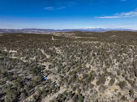 7371 County Road 310, Ignacio, CO 81137 photo 9