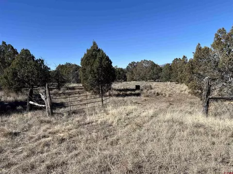 7371 County Road 310, Ignacio, CO 81137 photo 19