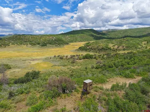 36681 Road M5 Bugle Basin, Cahone, CO 81320