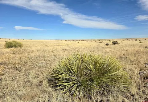 tbd County Road 103, Walsenburg, CO 81089