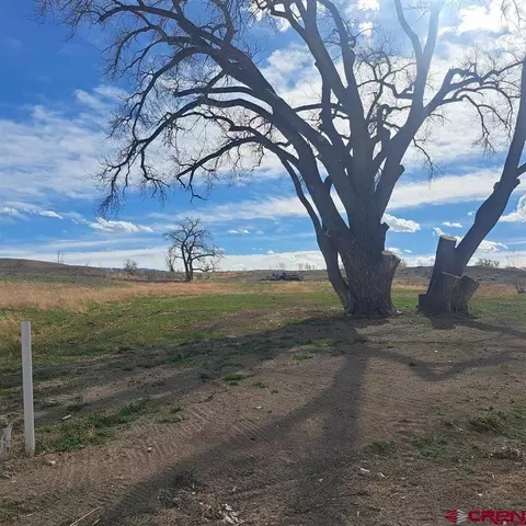 3803 Aspen Grove Ln, Montrose, CO 81401