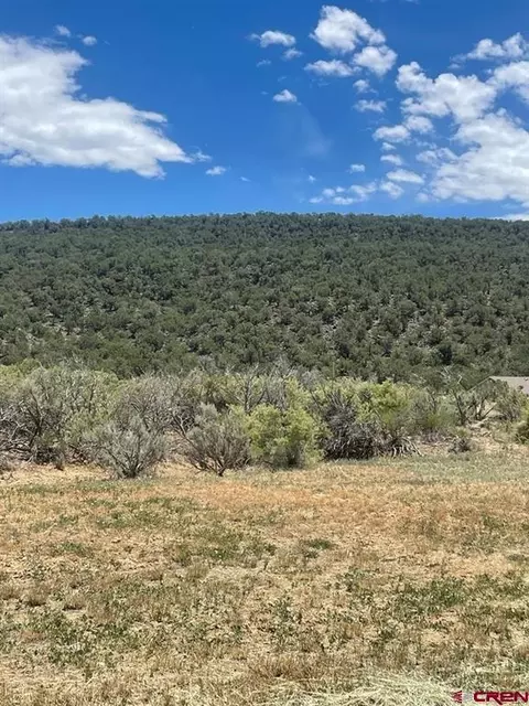745 SE Pinyon St, Cedaredge, CO 81413