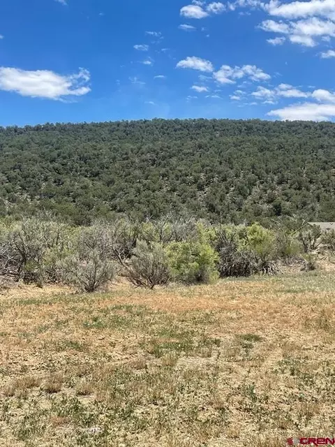745 SE Pinyon St, Cedaredge, CO 81413 photo 5