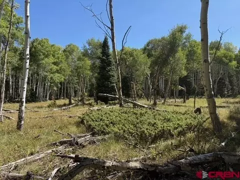 121 Ridge Rd, Cimarron, CO 81220