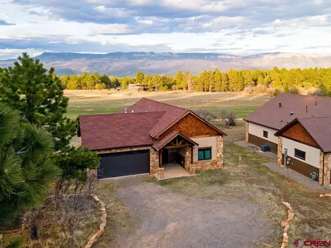 524 S Badger Trl, Ridgway, CO 81432