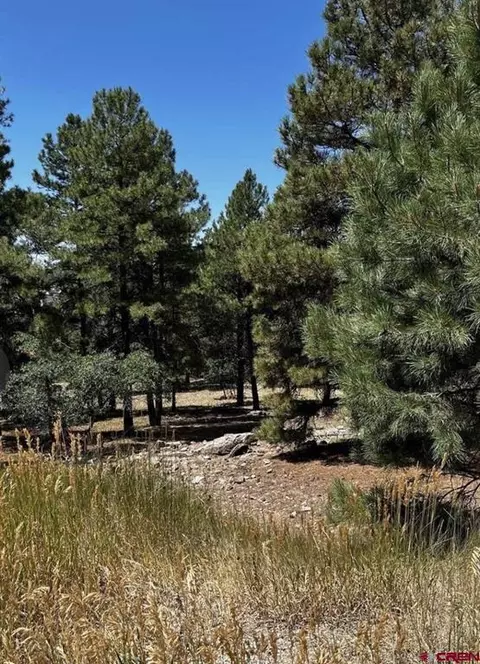 124 Woodridge Cir, Pagosa Springs, CO 81147