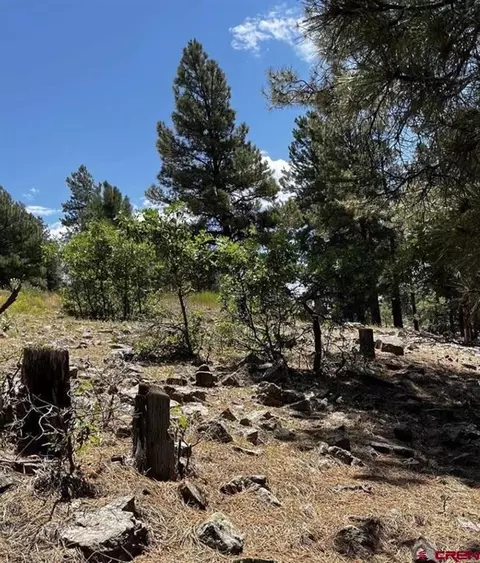 144 Woodridge Cir, Pagosa Springs, CO 81147