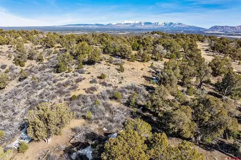 tbd Road 353, Mancos, CO 81328
