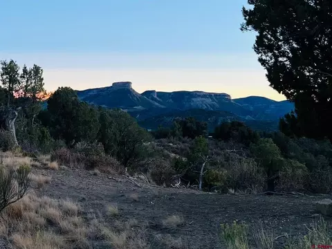 tbd Road 353, Mancos, CO 81328