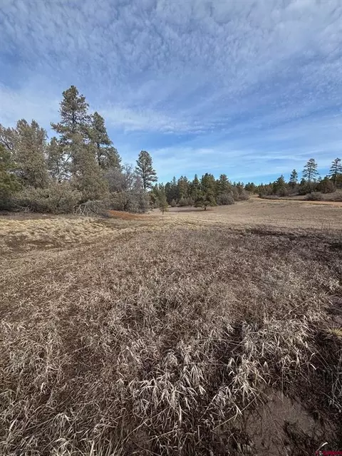 1046 Crooked Rd, Pagosa Springs, CO 81147