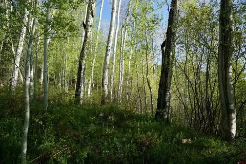 350 Falcon Ridge Rd, Durango, CO 81301 photo 15