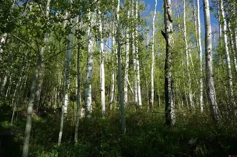 350 Falcon Ridge Rd, Durango, CO 81301 photo 23