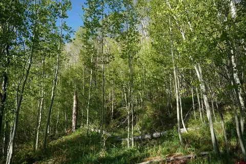 350 Falcon Ridge Rd, Durango, CO 81301 photo 16