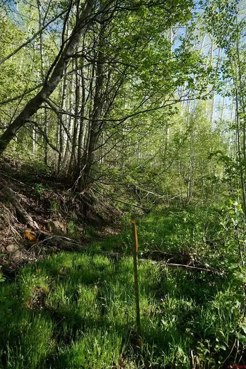 350 Falcon Ridge Rd, Durango, CO 81301 photo 22