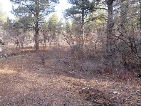 329 Capitan Cir, Pagosa Springs, CO 81147