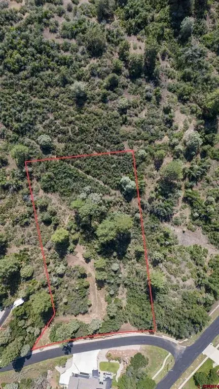tbd Scout Ridge Rd, Durango, CO 81301 photo 7