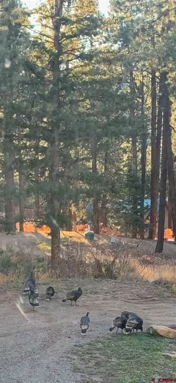 Other - 959 Sierra Dr, Durango, CO 81301 photo 12 of 12