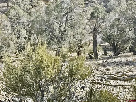 000 Cr 2550 Rd, Aztec, NM 87410 photo 6