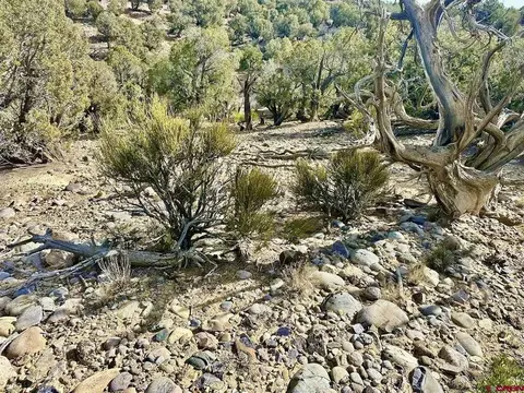 000 Cr 2550 Rd, Aztec, NM 87410 photo 5