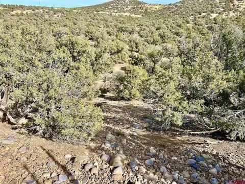 000 Cr 2550 Rd, Aztec, NM 87410 photo 3