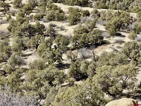 000 Cr 2550 Rd, Aztec, NM 87410 photo 10