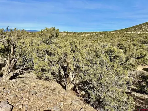 000 Cr 2550 Rd, Aztec, NM 87410 photo 4