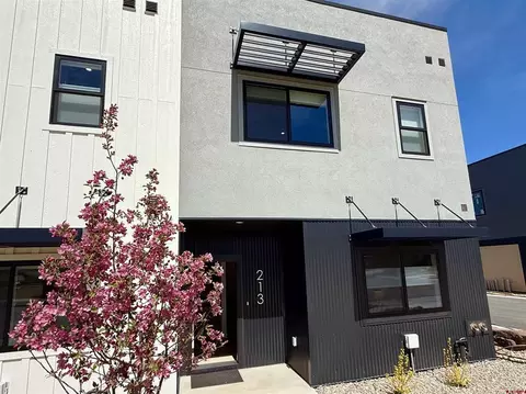 213 Treeline St, Durango, CO 81303