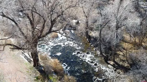 720 SE Stonebridge Dr, Cedaredge, CO 81413 photo 5