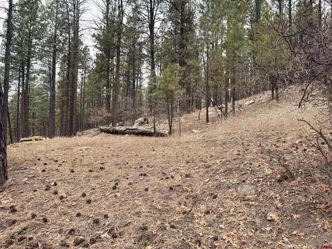 421 Forest Lakes Dr, Bayfield, CO 81122
