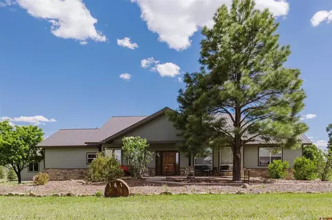 141 Vista San Juan, Pagosa Springs, CO 81147