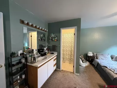 Bath - 249 Bert St, Delta, CO 81416 photo 2 of 3