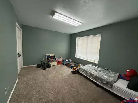 Bedroom - 249 Bert St, Delta, CO 81416 photo 4 of 5
