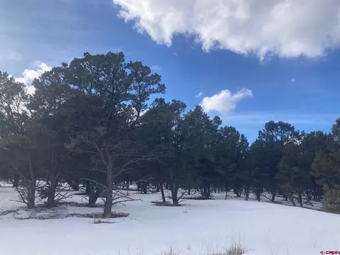 lot2 Snowberry Ln, Ridgway, CO 81432